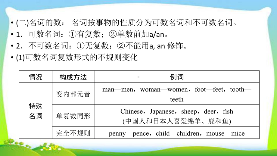 人教版新目标中考英语语法突破复习专题1名词、名词所有格优质课件.pptx(课件中无音视频)_第3页