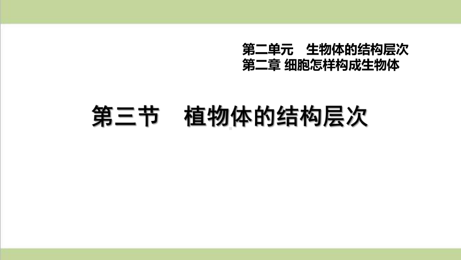 人教版七年级上册初中生物 223 植物体的结构层次 重点习题练习复习课件.ppt_第1页