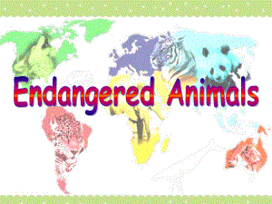 Endangered animalsnew 公开课一等奖课件.ppt