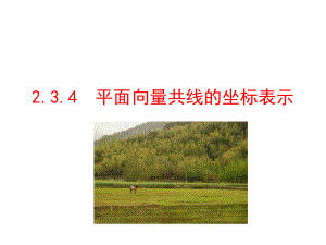 公开课课件 人教A版数学必修4 ：234平面向量共线的坐标表示.ppt