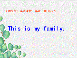 《Unit 5 This is my family》课件 (公开课)2022年湘少版2.ppt(课件中不含音视频素材)