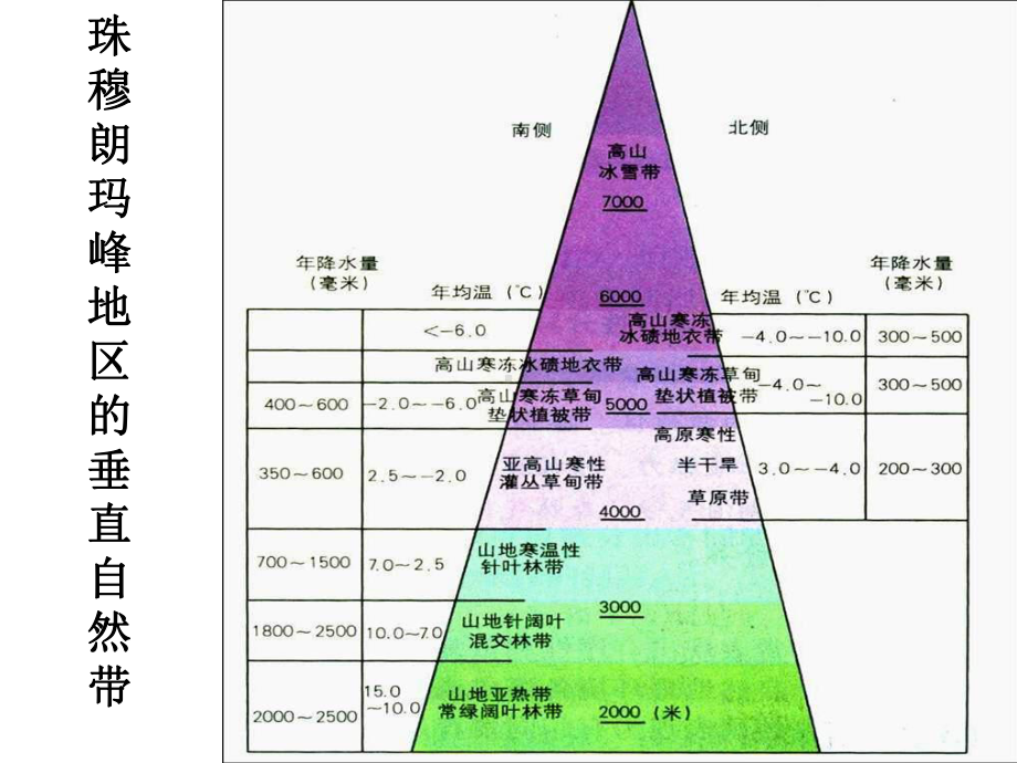 2021届一轮复习垂直地带性课件.ppt_第3页