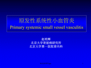 原发性系统性小血管炎课件.ppt