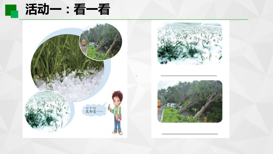 二年级下册科学课件天气与动植物青岛版(六年制).pptx_第3页