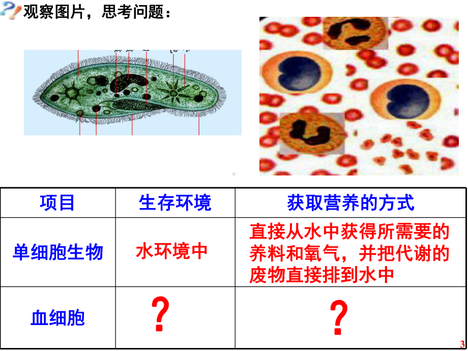 人教版高二生物必修二第一章细胞生活的环境课件.ppt_第3页