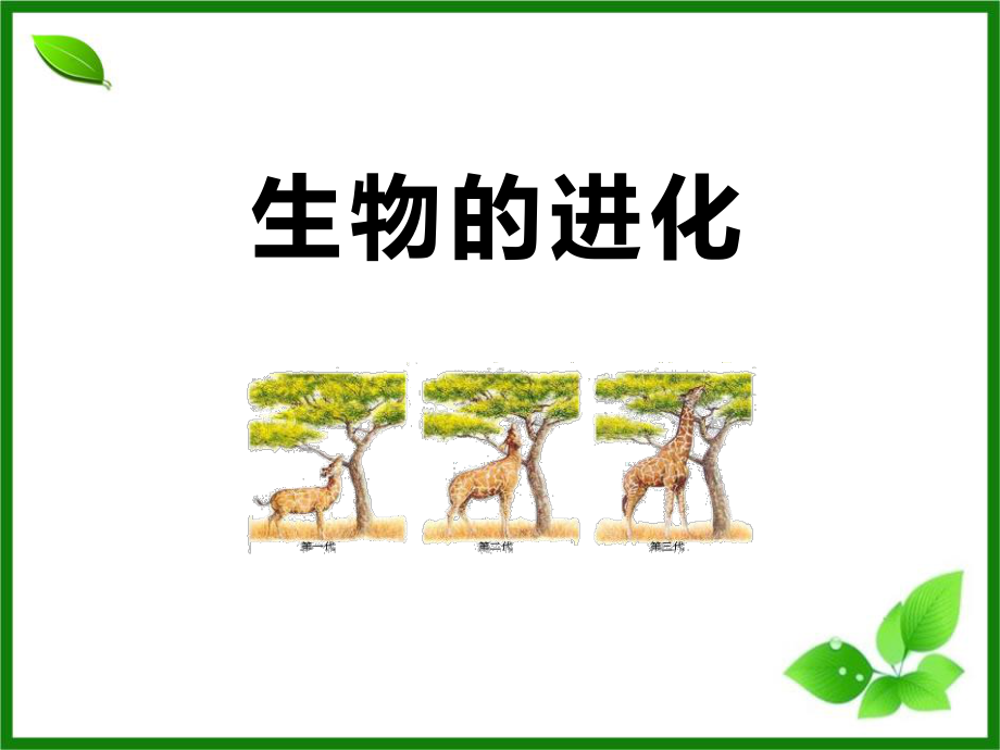 《生物的进化》获奖课件.pptx_第1页