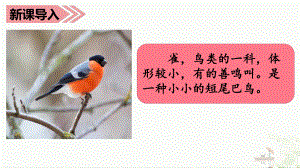 《灰雀》课件部编版1.ppt