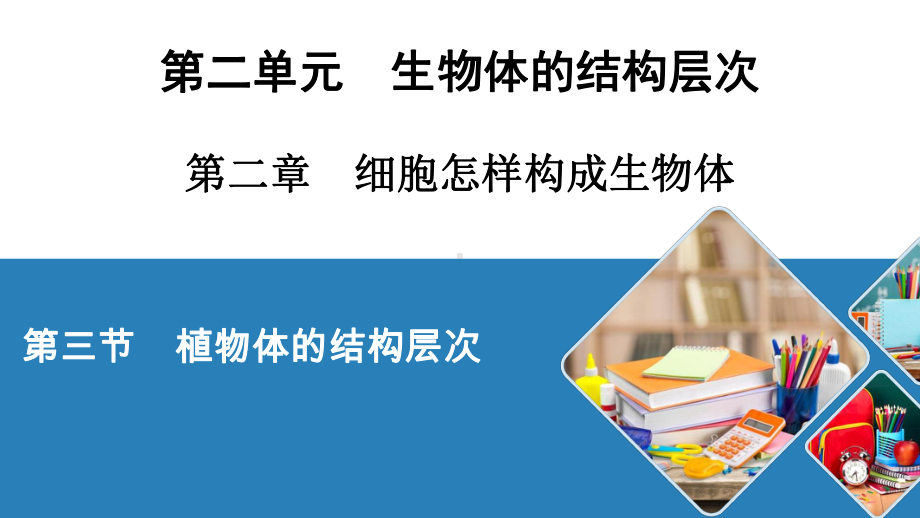 人教七年级生物上册 植物体的结构层次课件.ppt_第1页