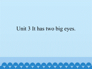 三年级上册英语课件 Unit 3 It has two big eyes 湘鲁版 .pptx(课件中不含音视频素材)