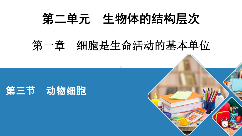 人教七年级生物上册 动物细胞课件.ppt_第1页