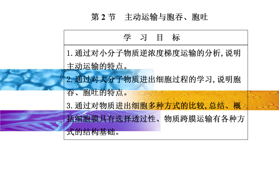 《主动运输与胞吞、胞吐》 人教版1课件.pptx_第2页