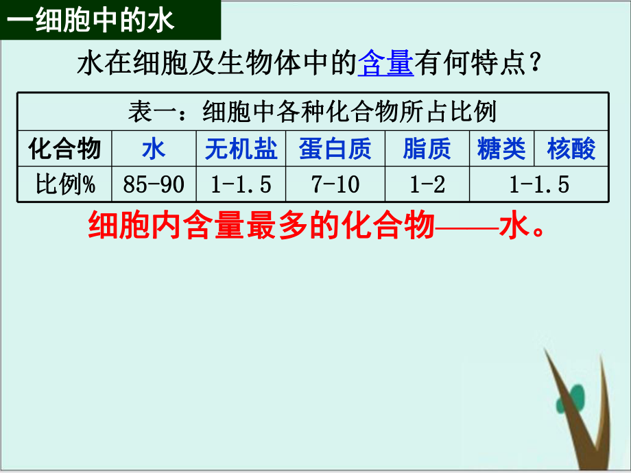 《细胞中的无机物》课件人教版高中生物2.pptx_第3页