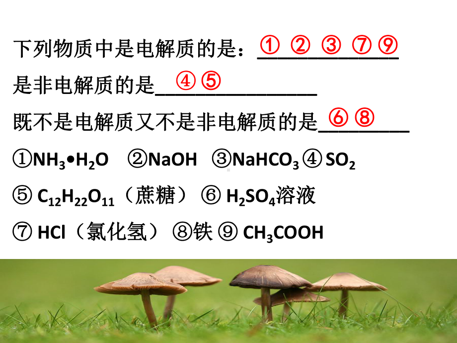 人教版高中化学必修1第二章化学物质及其变化第二节离子反应第二课时课件.ppt_第3页