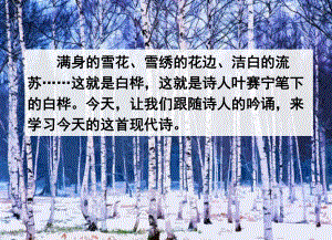 2020春部编版四年级语文下册 11 白桦课件.pptx