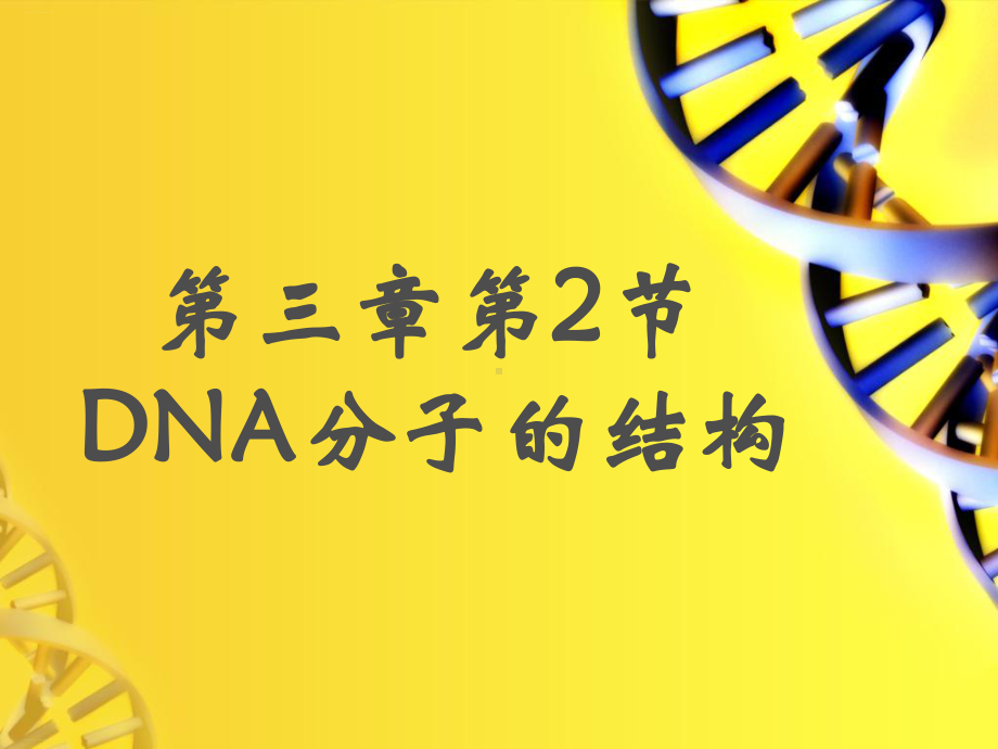 人教版《DNA分子的结构》完美课件1.ppt_第3页