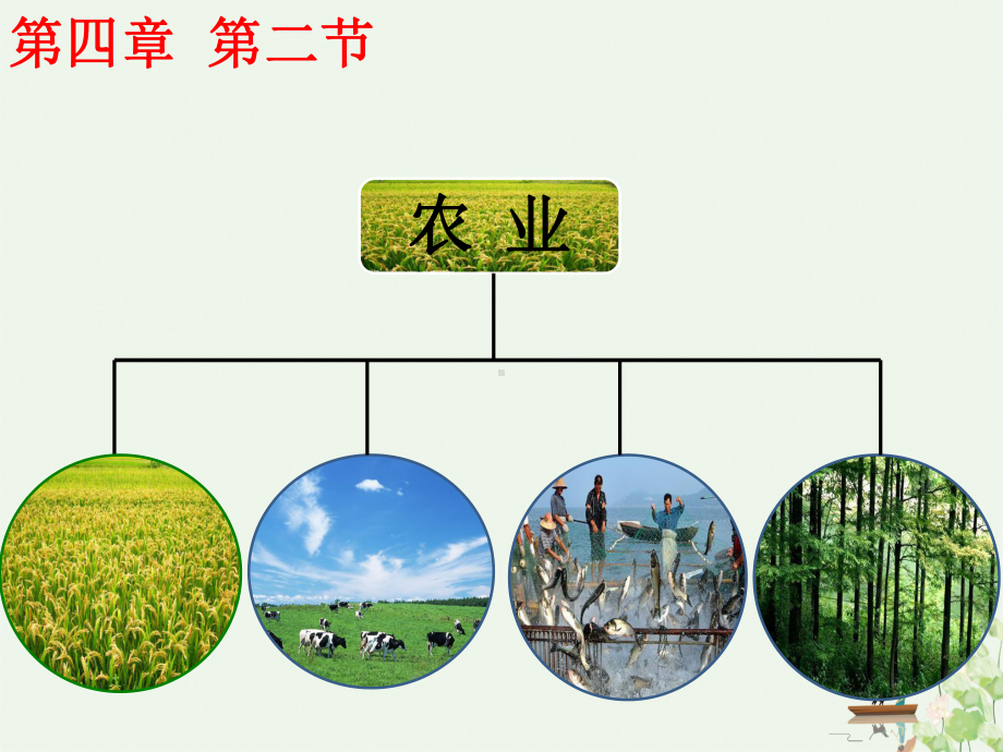 人教版八年级上册地理第四章农业共课件.ppt_第2页