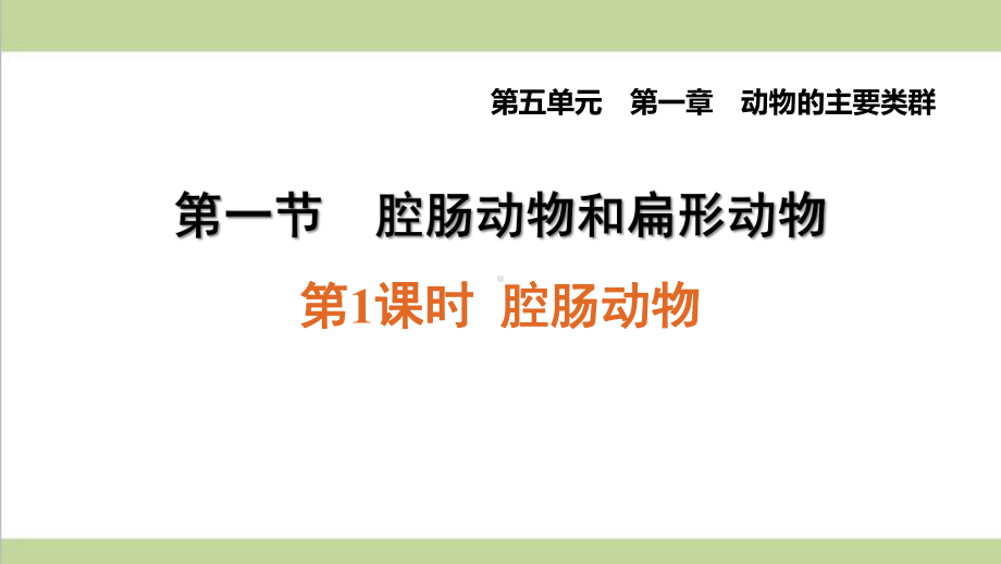 人教版八年级上册生物 111 腔肠动物 课后习题重点练习课件.ppt_第1页