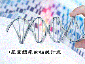 人教版高中生物必修2 遗传与进化：基因频率的相关计算课件.ppt