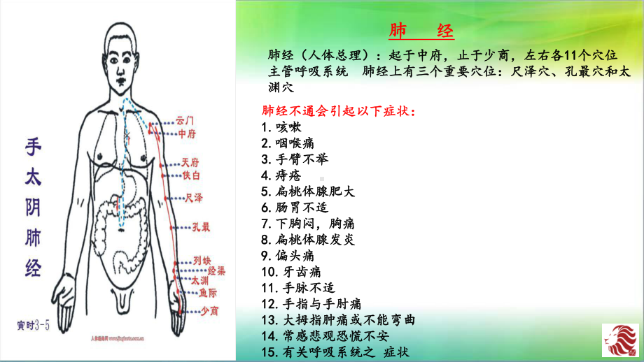 十二经络图解课件.pptx_第1页