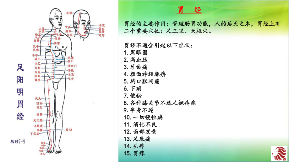 十二经络图解课件.pptx_第3页