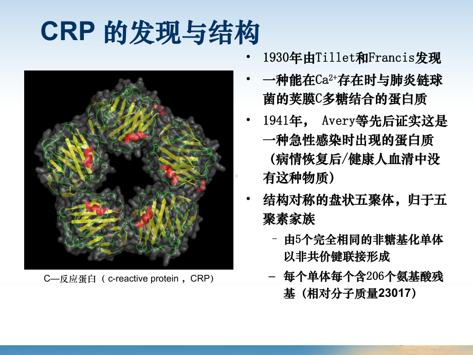 C 反应蛋白检测的临床意义课件.ppt_第2页