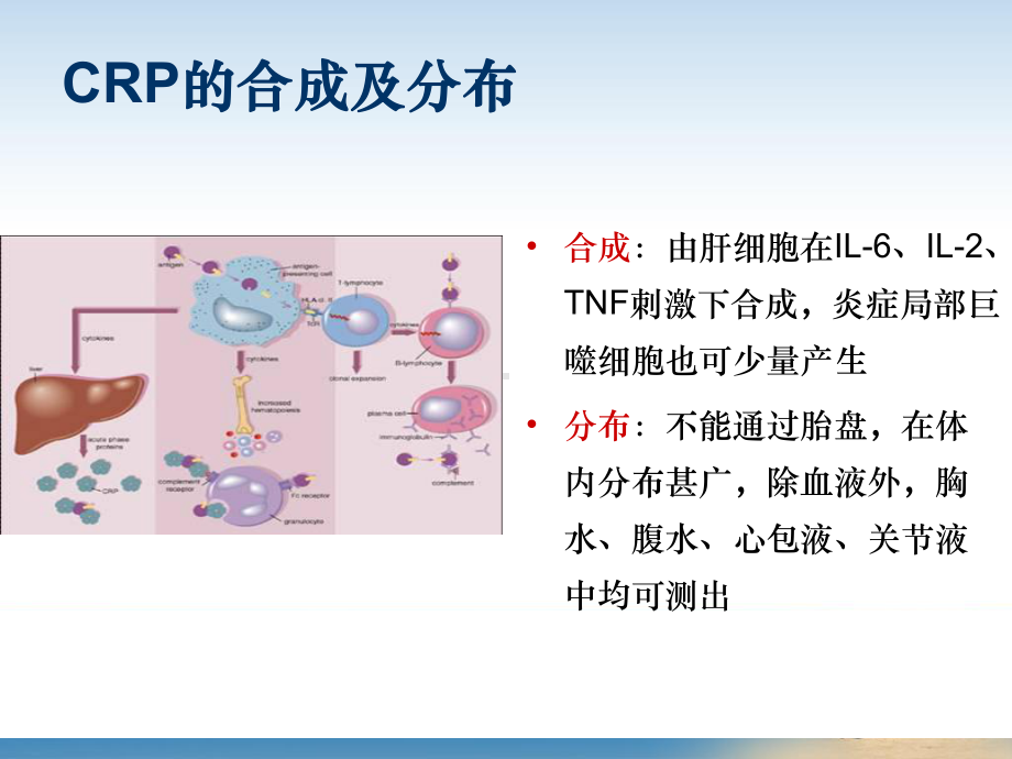 C 反应蛋白检测的临床意义课件.ppt_第3页