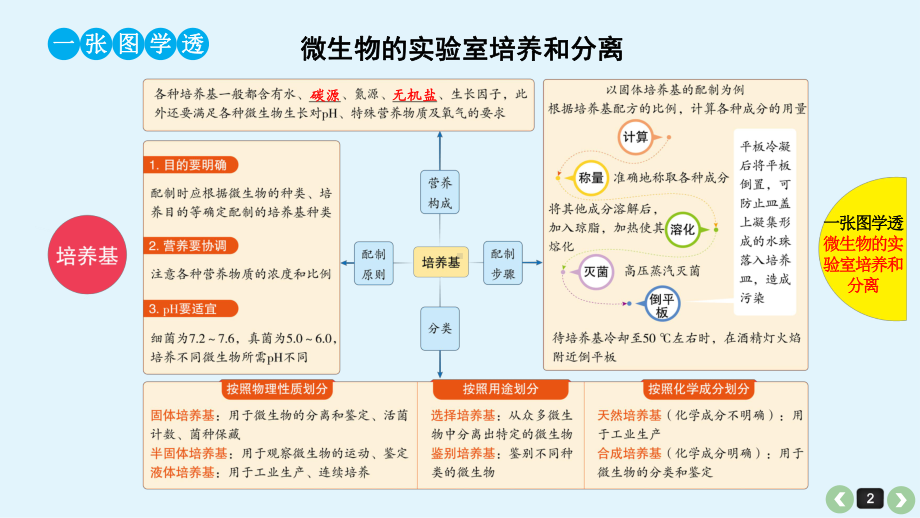 2022高考生物一轮复习课件：第43课 微生物的培养与应用.ppt_第2页