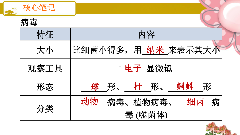 人教版八年级生物上册病毒课件.ppt_第2页