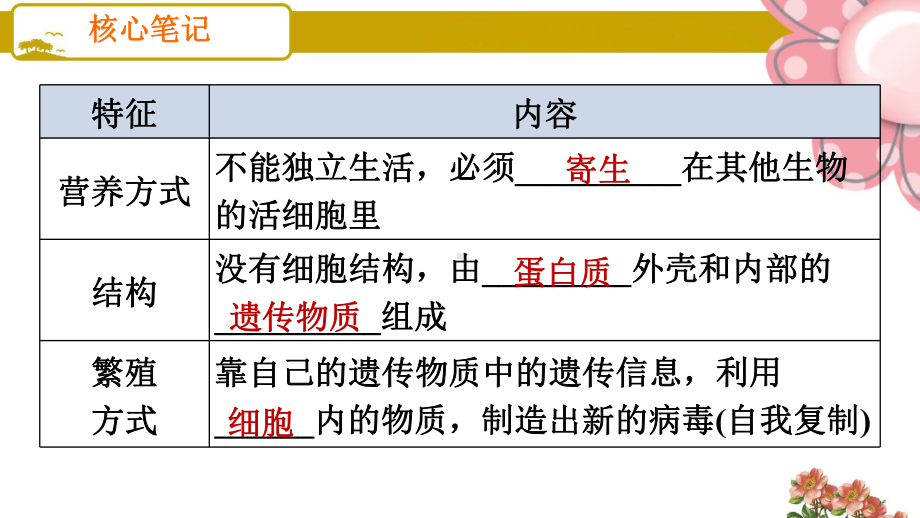 人教版八年级生物上册病毒课件.ppt_第3页