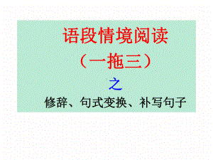 （高三语文一轮复习课件）语段情境阅读之修辞、句式变换、补写句子 (课件).ppt