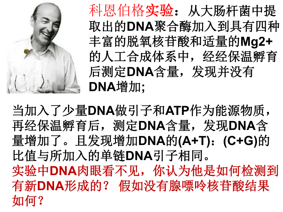 人教版新教材《DNA的复制》教学课件1.ppt_第3页