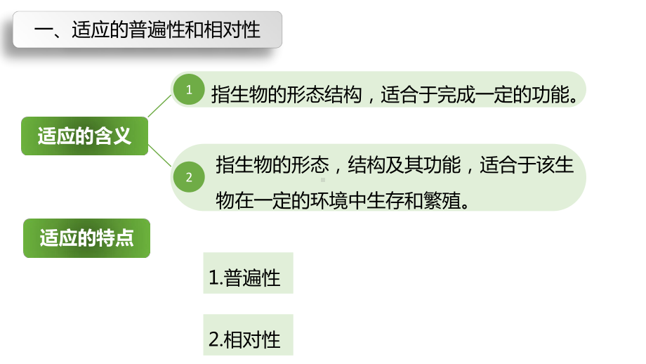 《自然选择与适应的形成》课件 人教版1.pptx_第3页