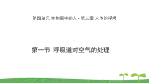 《第一节 呼吸道对空气的处理》教学课件（初中生物人教版七年级下册）.pptx