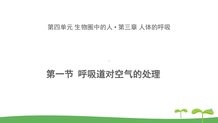 《第一节 呼吸道对空气的处理》教学课件（初中生物人教版七年级下册）.pptx_第1页