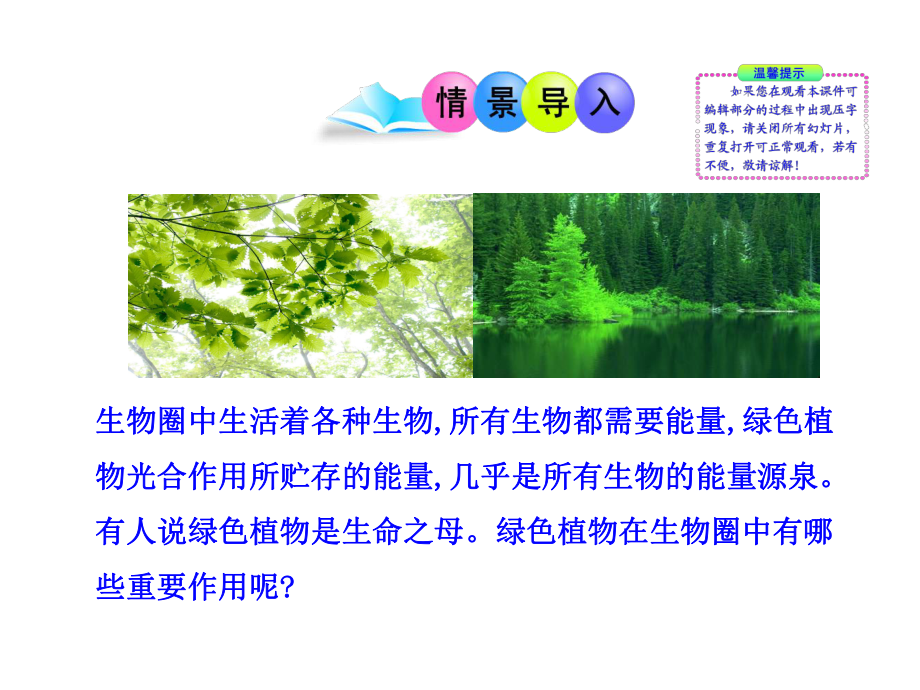 711 绿色植物在生物圈的作用课件 北师大七年上.ppt_第2页