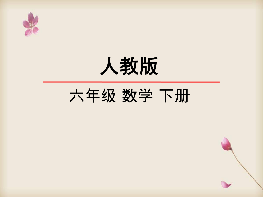 人教版六年级数学下册课件 61数与代数1数的认识.ppt_第1页