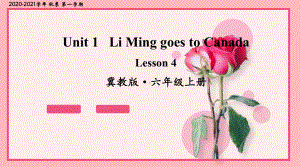 冀教版六年级英语上册Lesson 4课件.ppt-(纯ppt课件,无音视频素材)