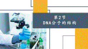 人教版新教材《DNA的结构》1课件.pptx