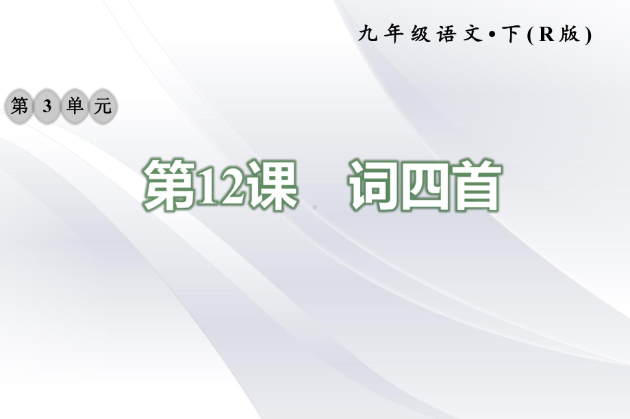 2020年部编版九年级下册语文 12词四首 习题课件.ppt_第1页