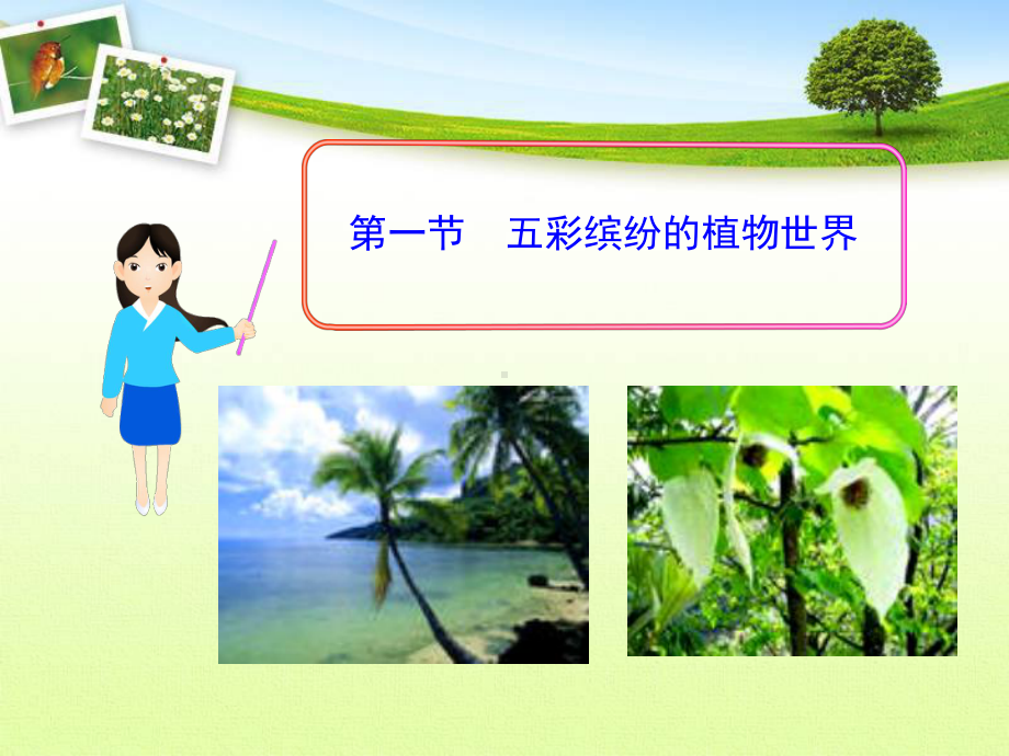 5141五彩缤纷的植物世界课件4(苏教版八年级上册).ppt_第1页