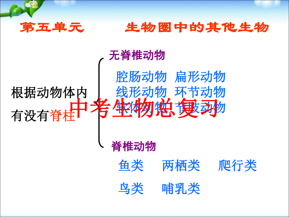 人教版生物中考总复习之三课件.ppt_第2页