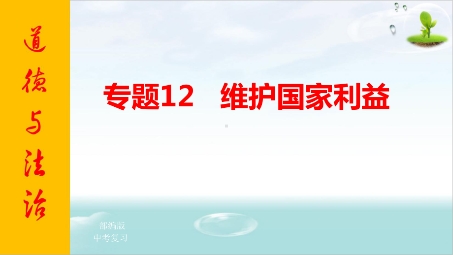 专题12 维护国家利益 复习课件.pptx_第1页