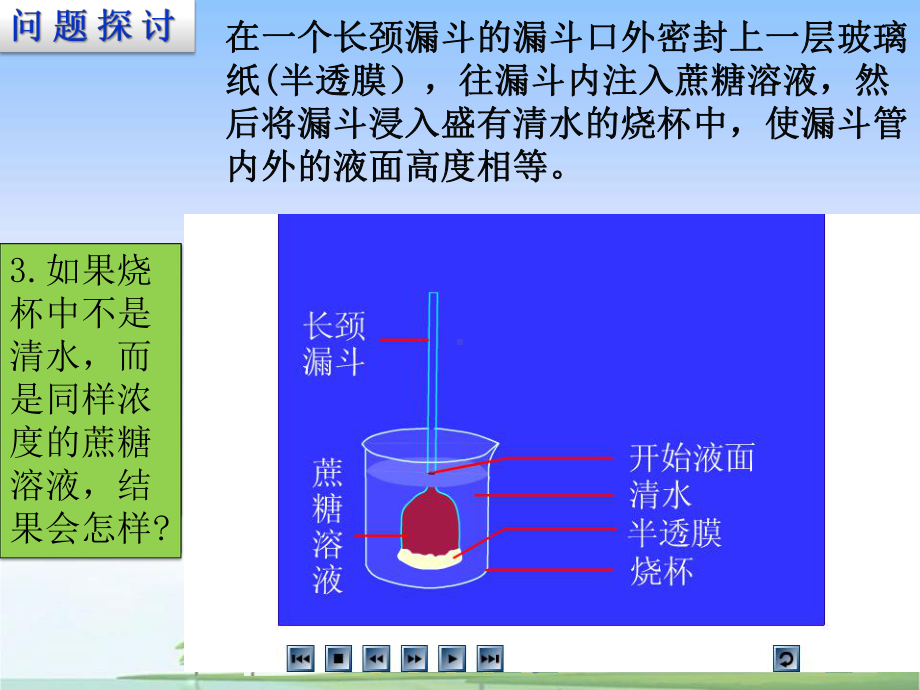 人教版新教材《被动运输》课件1.pptx_第2页