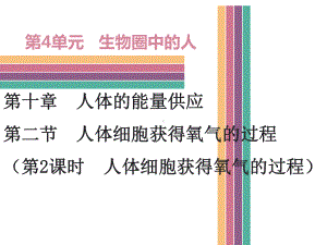 北师大版七年级下册生物第十章人体的能量供应第二节人体细胞获得氧气的过程 第2课时导学课件.ppt