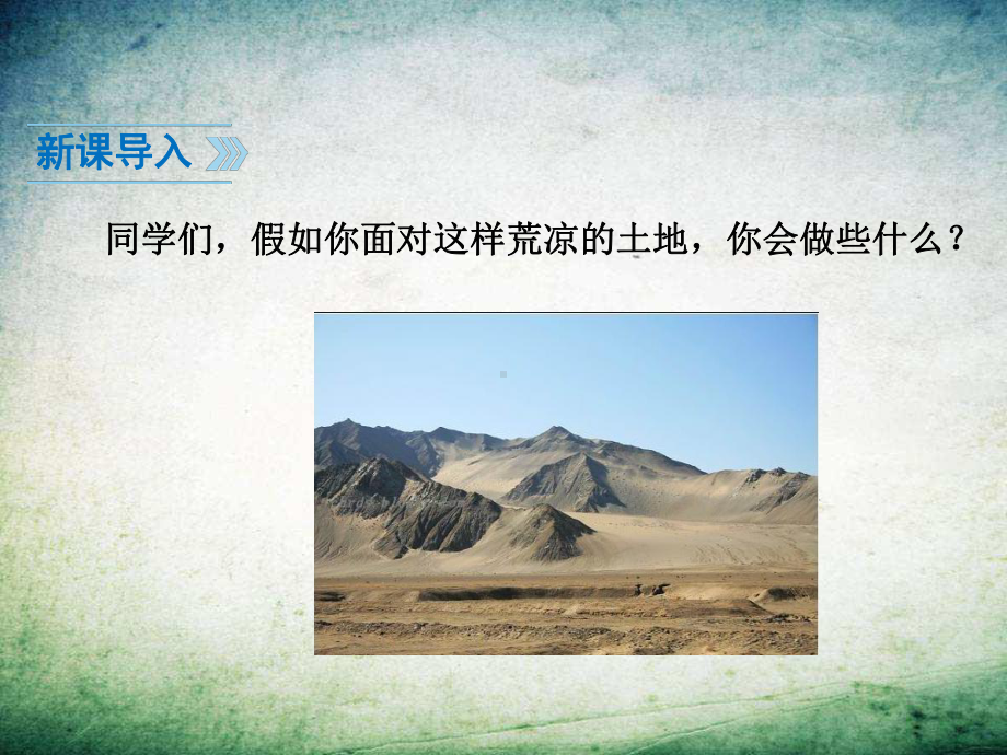 公开课植树的牧羊人课件-002.ppt_第3页