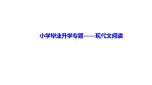 六年级下册语文课件 小升初二轮复习专题 现代文阅读 部编版.ppt