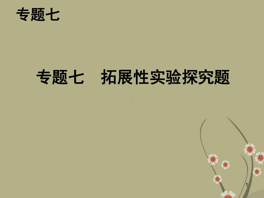 中考物理总复习 第二部分 知识专题攻略 专题七 拓展性实验探究题课件(考点清单+13年中考试题).ppt_第1页