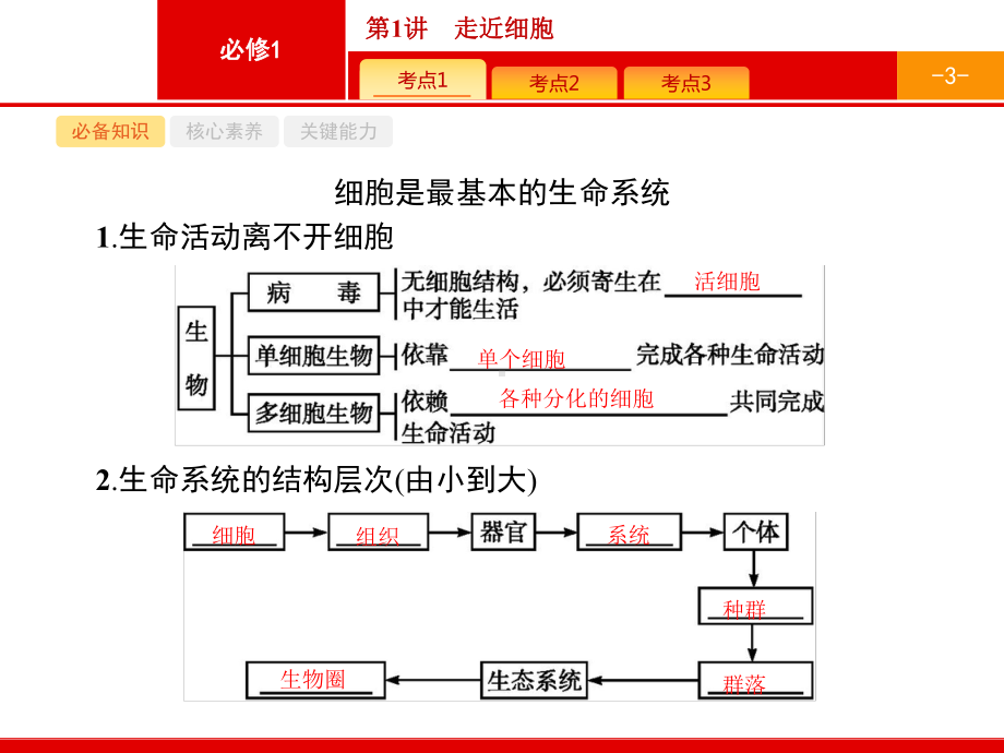 （生物新高考总复习）第1讲 走近细胞课件.pptx_第3页