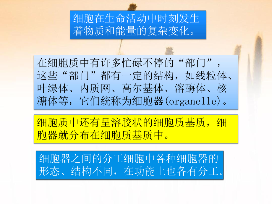 人教版新教材《细胞器之间的分工合作》教学课件1.pptx_第3页