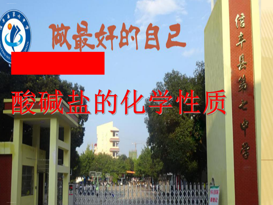 中考化学专题复习：酸碱盐的化学性质课件-002.ppt_第1页